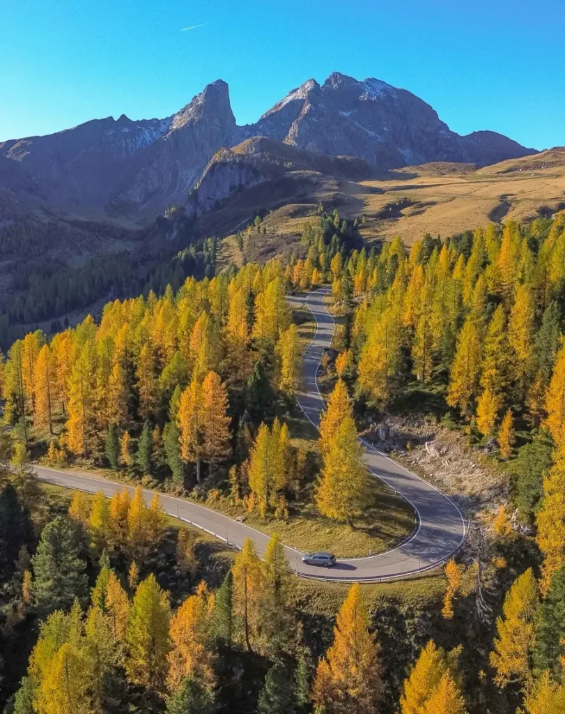 A scenic mountain road with winding curves surrounded by golden larch forests with towering mountains on the way up to Passo Giau in the Dolomites during fall