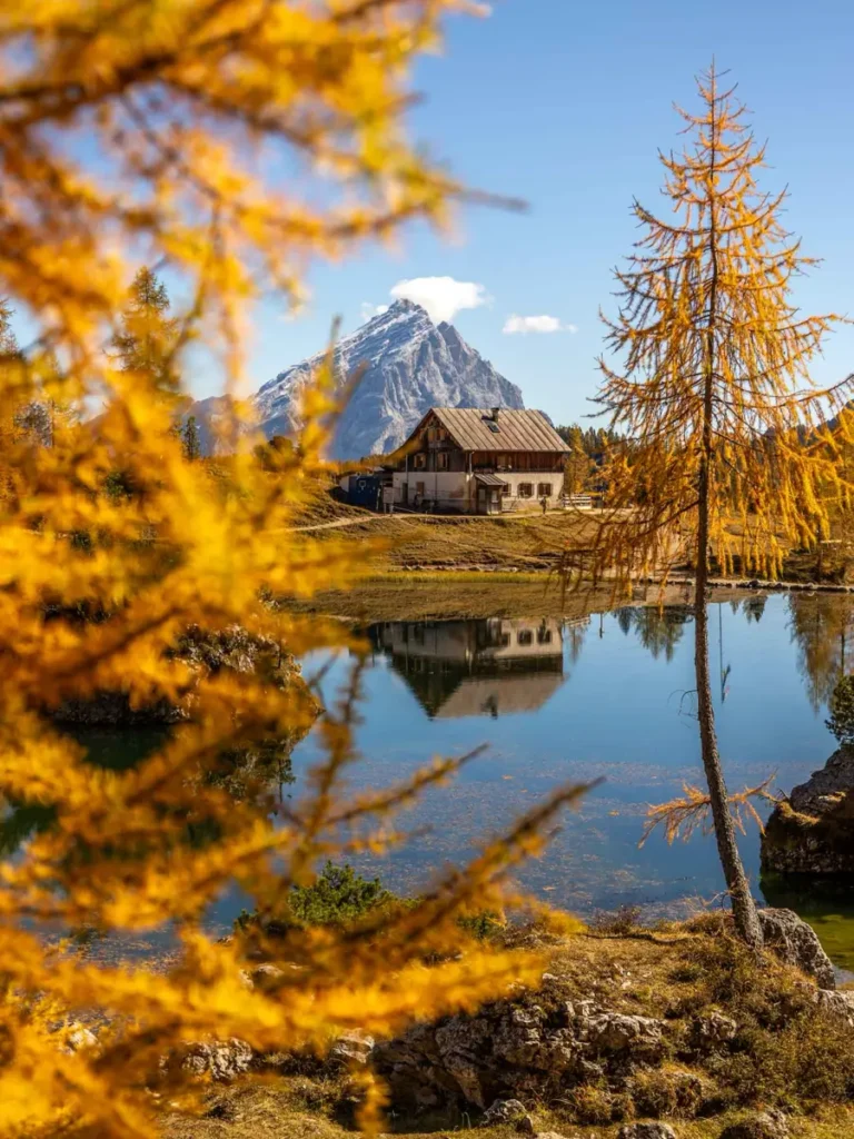 A mountain hut by a lake with perfect reflections in the water and surrounded by golden larches at Lago Federa during autumn in the Dolomites
