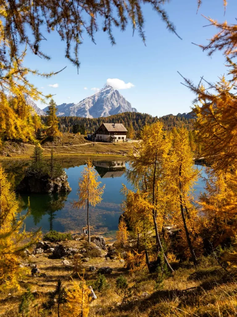A mountain hut by a lake with perfect reflections in the water and surrounded by golden larches at Lago Federa during fall in the Italian Alps