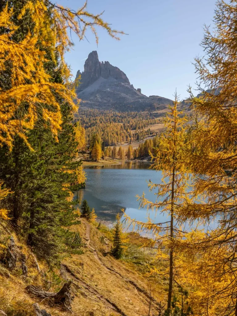 A unique mountain peak in the distance towering above a stunning mountain lake surrounded by golden larches during autumn in the Dolomites at Lago Federa