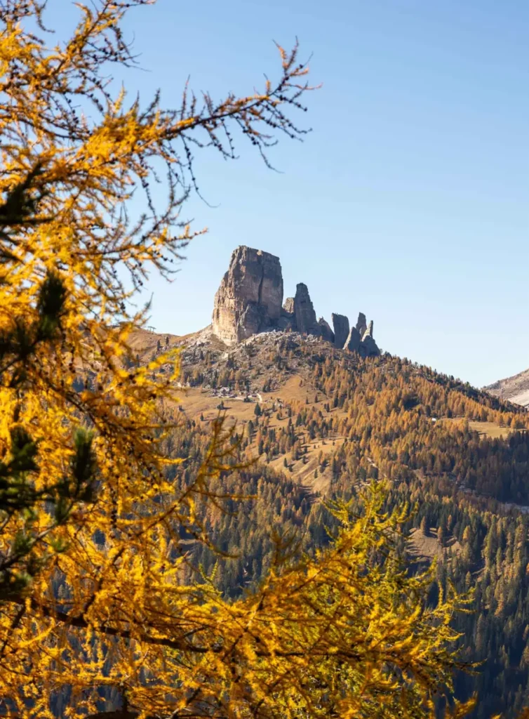 Unique rock formations in the distance with 5 towers above golden larch forests in the Dolomites