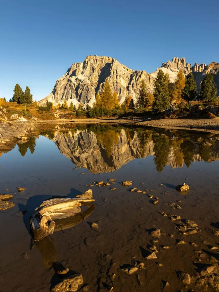 A small lake in the Dolomites during autumn with partly golden trees, mountains in the backdrop and reflection in the water at Lago Limides