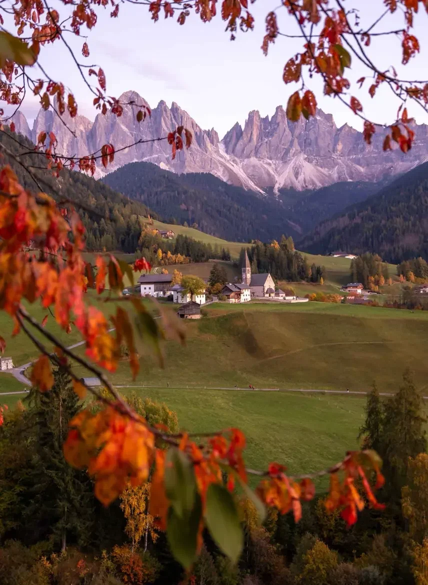 View of a church in Val di Funes  in front of majestic mountains with red leaves in the foreground during autumn in the Dolomites
