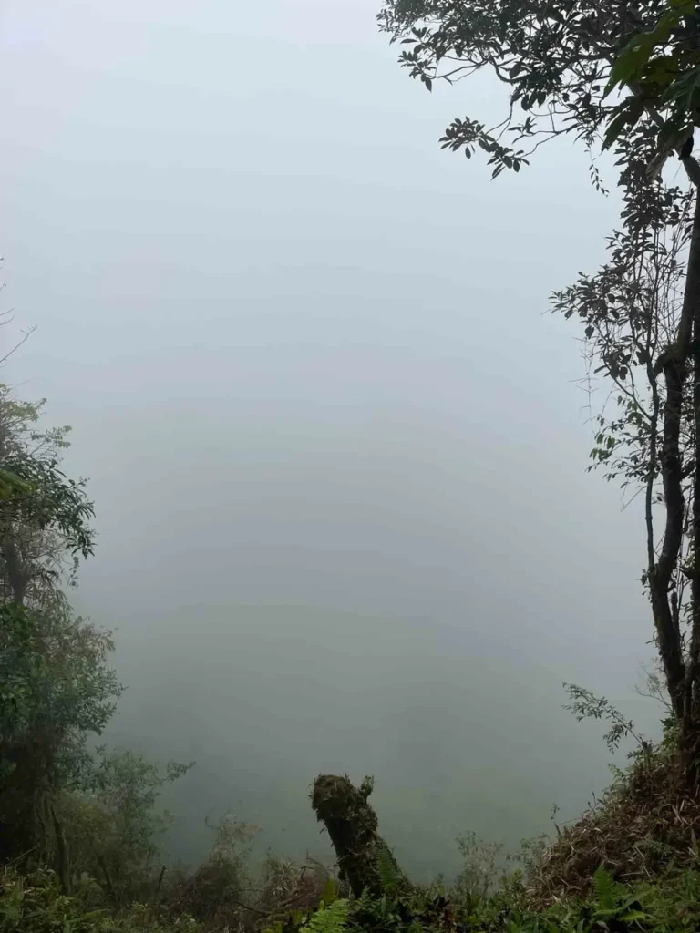 heavy fog in the jungle of bajos del toro in costa rica