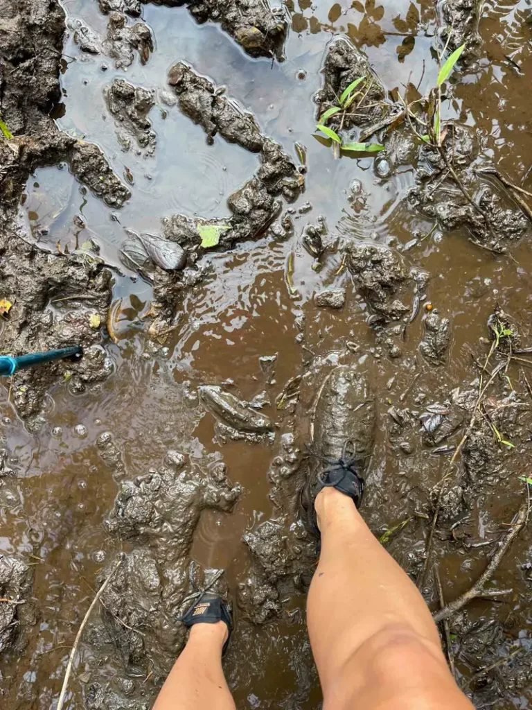 very muddy terrain with the shoes of a person sinking fully in the mud at the hike to catarata vuelta del canon in bajos del toro in costa rica
