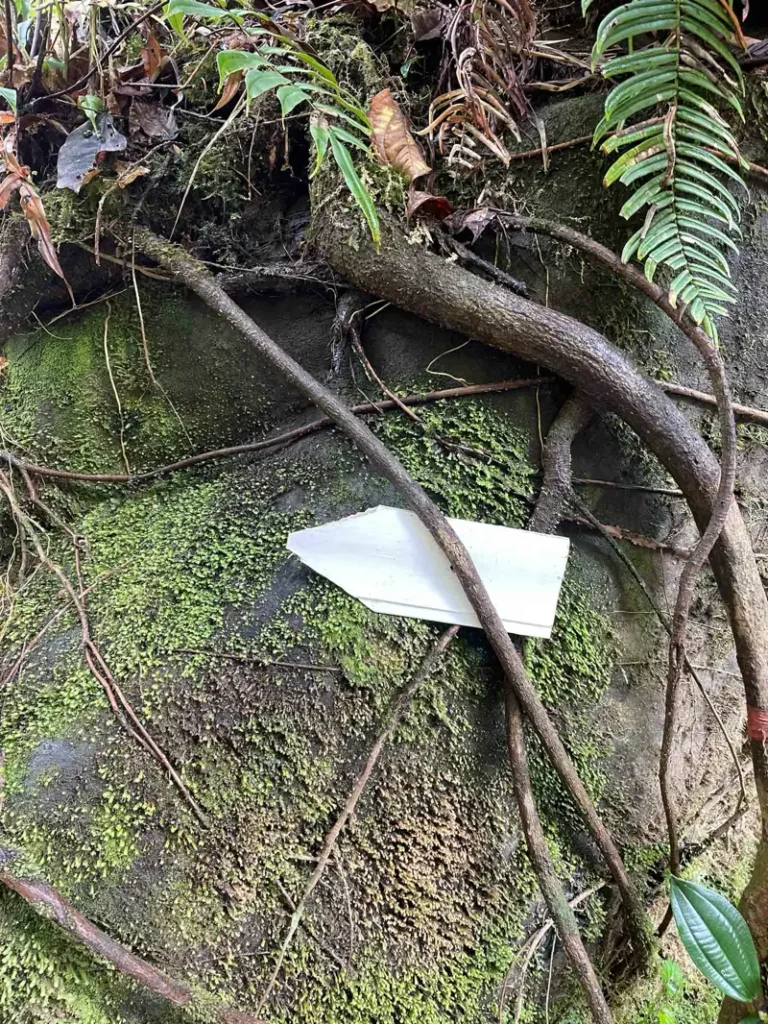 white trail markings all along the way hike to catarata vuelta del canon with overgrown rocks and big roots and some greenery in the jungle in bajos del toro in costa rica