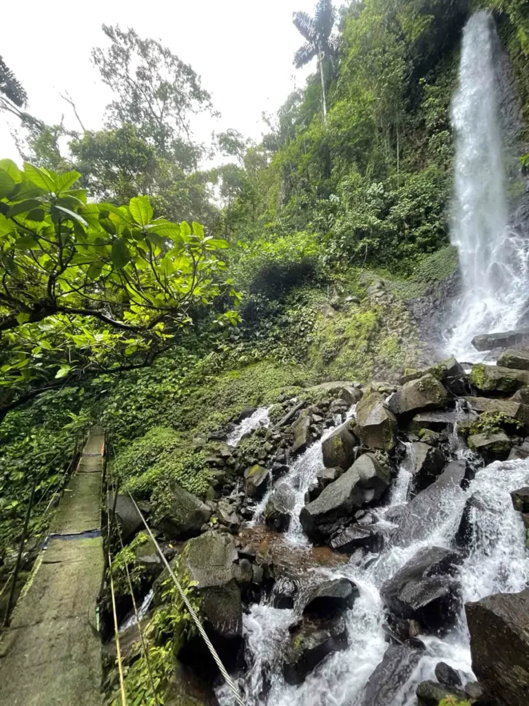 overgrown hanging bridge and waterfall at Paraiso Manantiales forming a stream between dark rocks in the middle of the jungle in bajos del toro costa rica