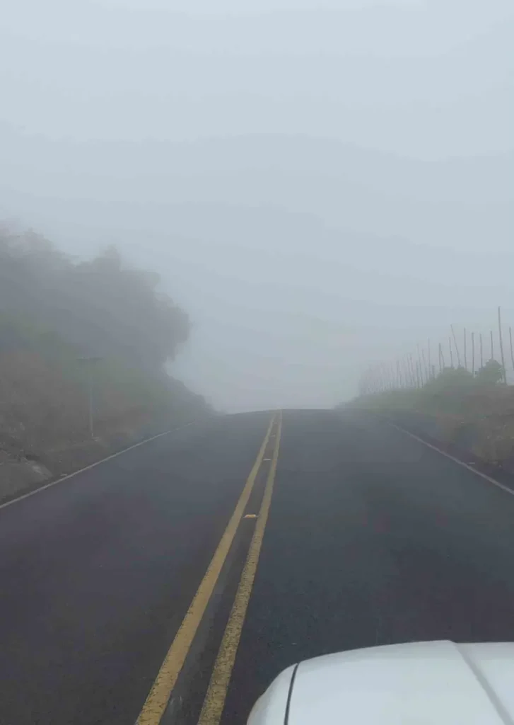 picture from inside the car with heavy gof covering the street with yellow double lines and some greenery next to the road at a cloud forest in costa rica