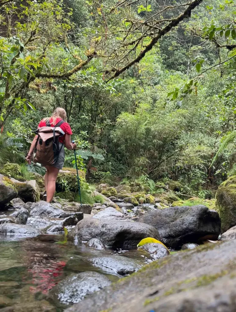 soman hiking over a small ankle deep river with rocks on the hike to catarata vuelta del canon in the jungle of bajos del toro in costa rica