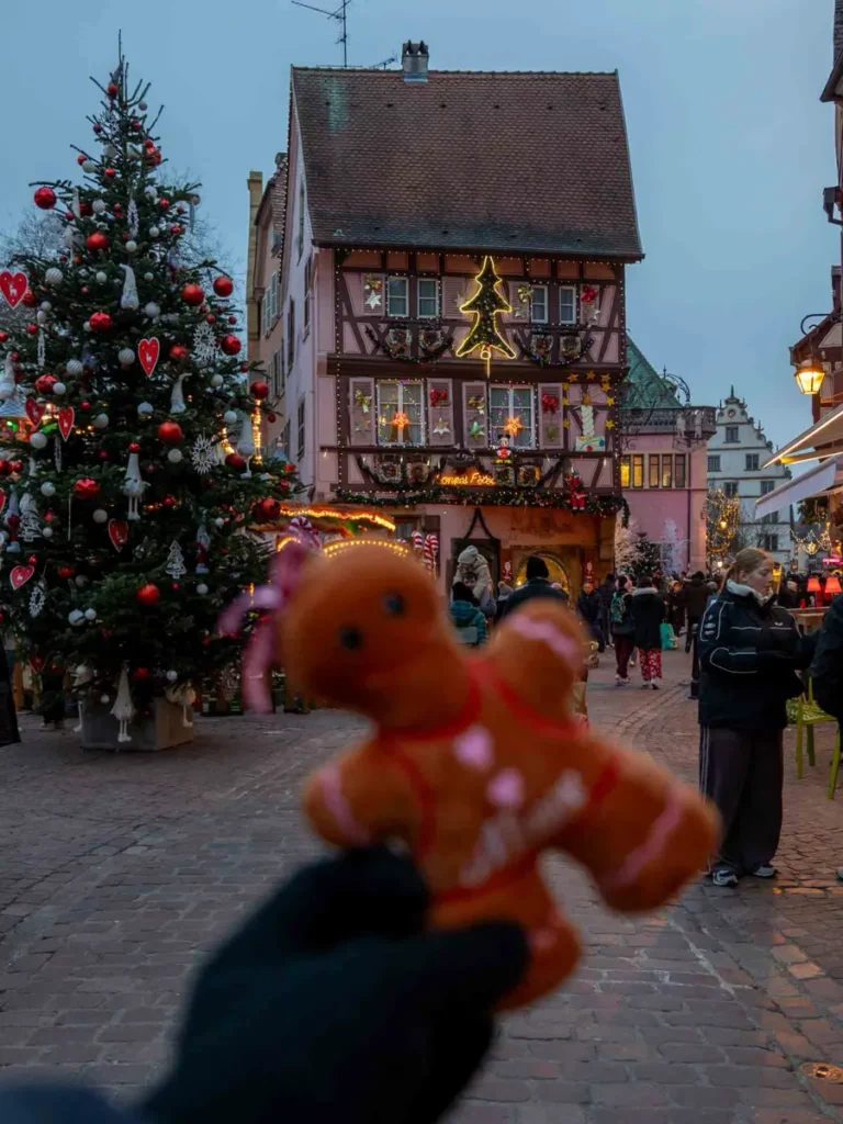Hand holding a gingerbread plush toy in front of a festive house with Christmas decorations in Colmar